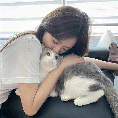 渡轮北部