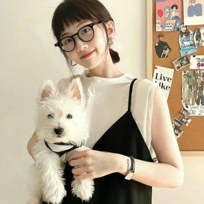 营地藏身